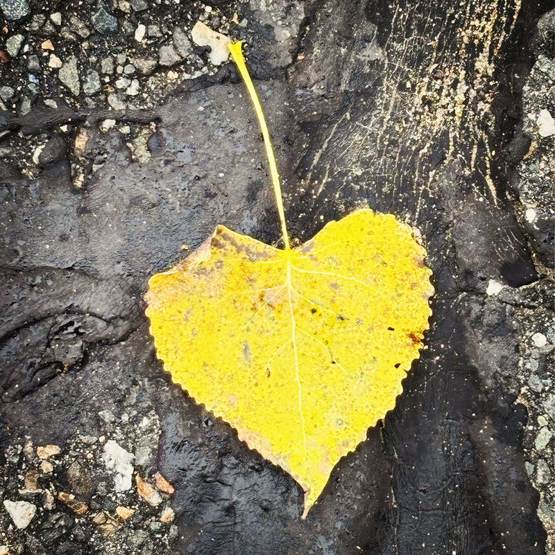 A Fresh Start with the Turning of the Year