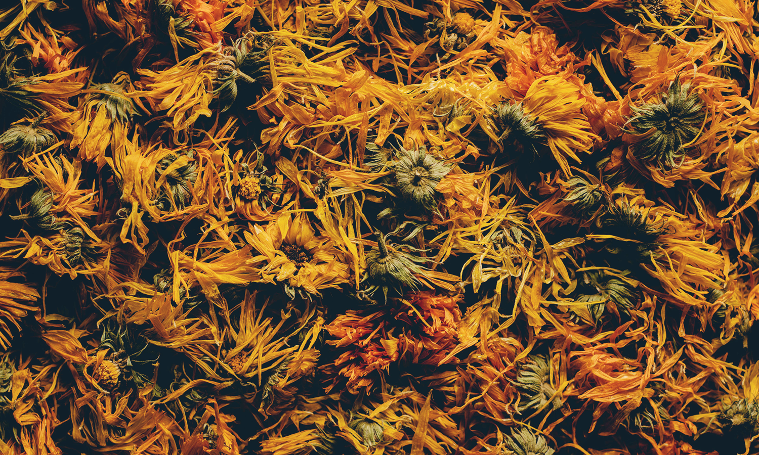 Bulk Herbs
