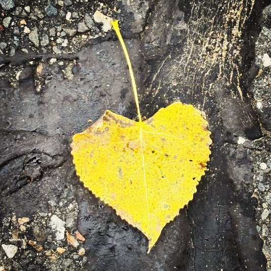 A Fresh Start with the Turning of the Year