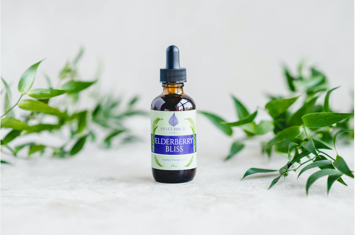 Elderberry Bliss Herbal Tincture