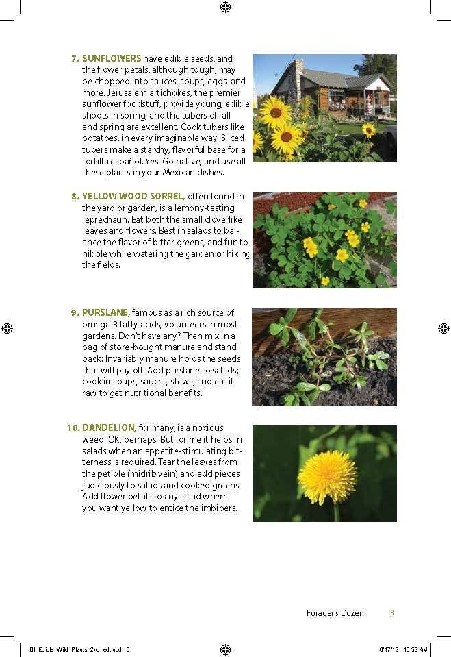 Edible Wild Plants & Useful Herbs