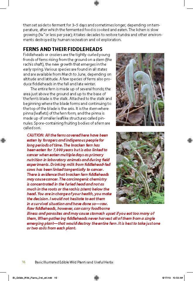 Edible Wild Plants & Useful Herbs