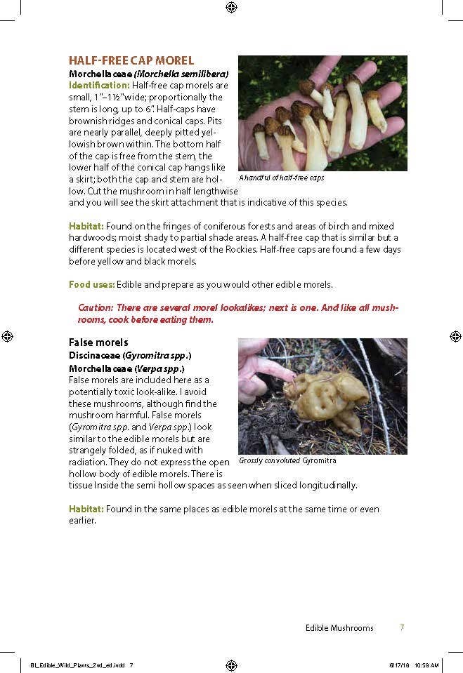 Edible Wild Plants & Useful Herbs