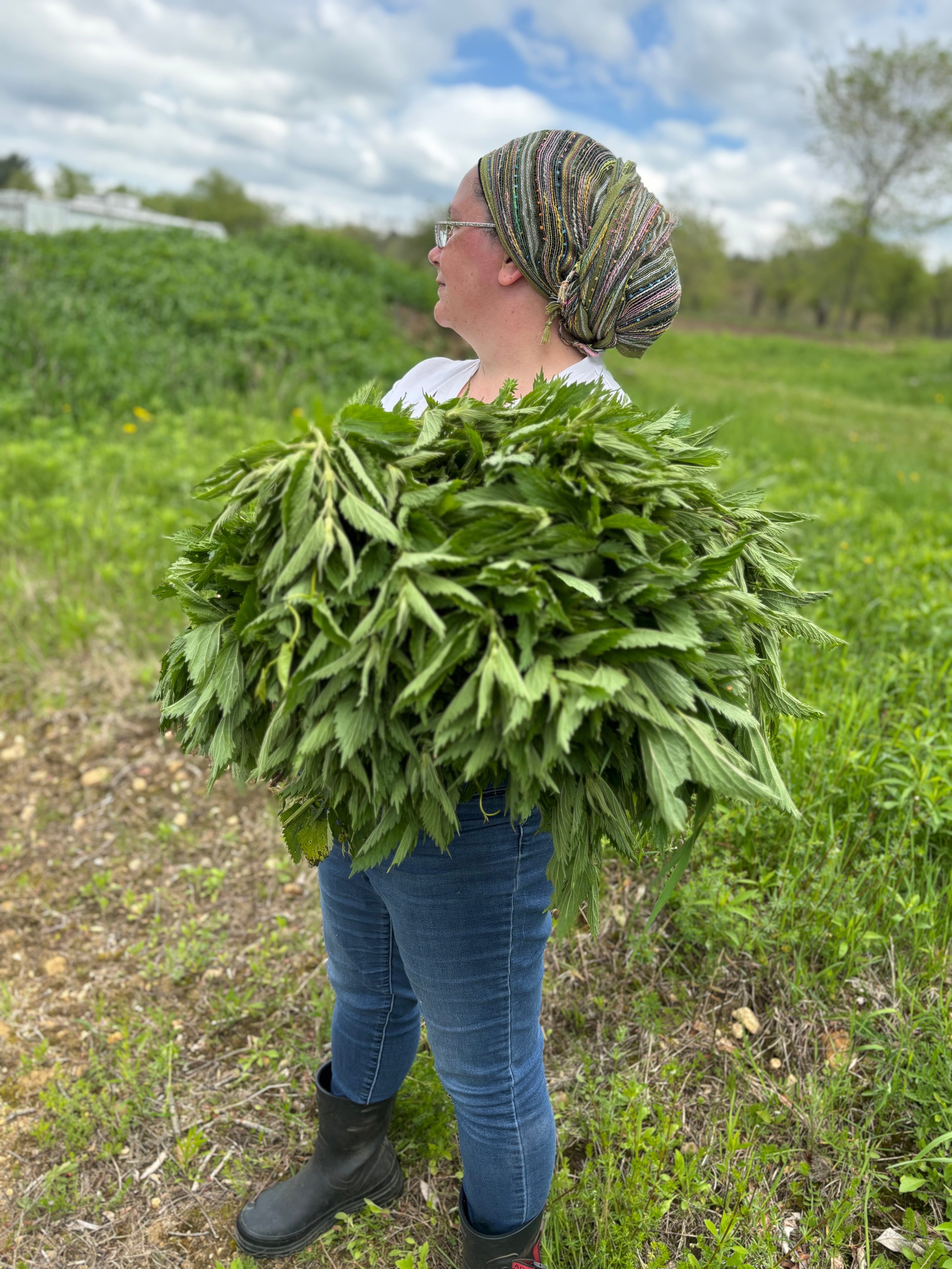 Nettle