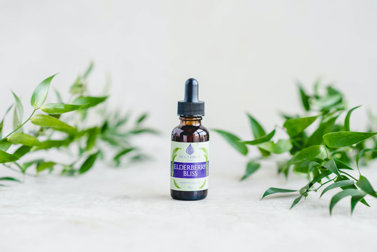 Elderberry Bliss Herbal Tincture