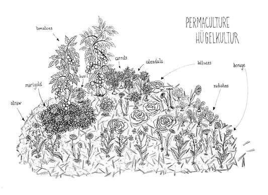 Live Permaculture Design Course - Barre USA Campus
