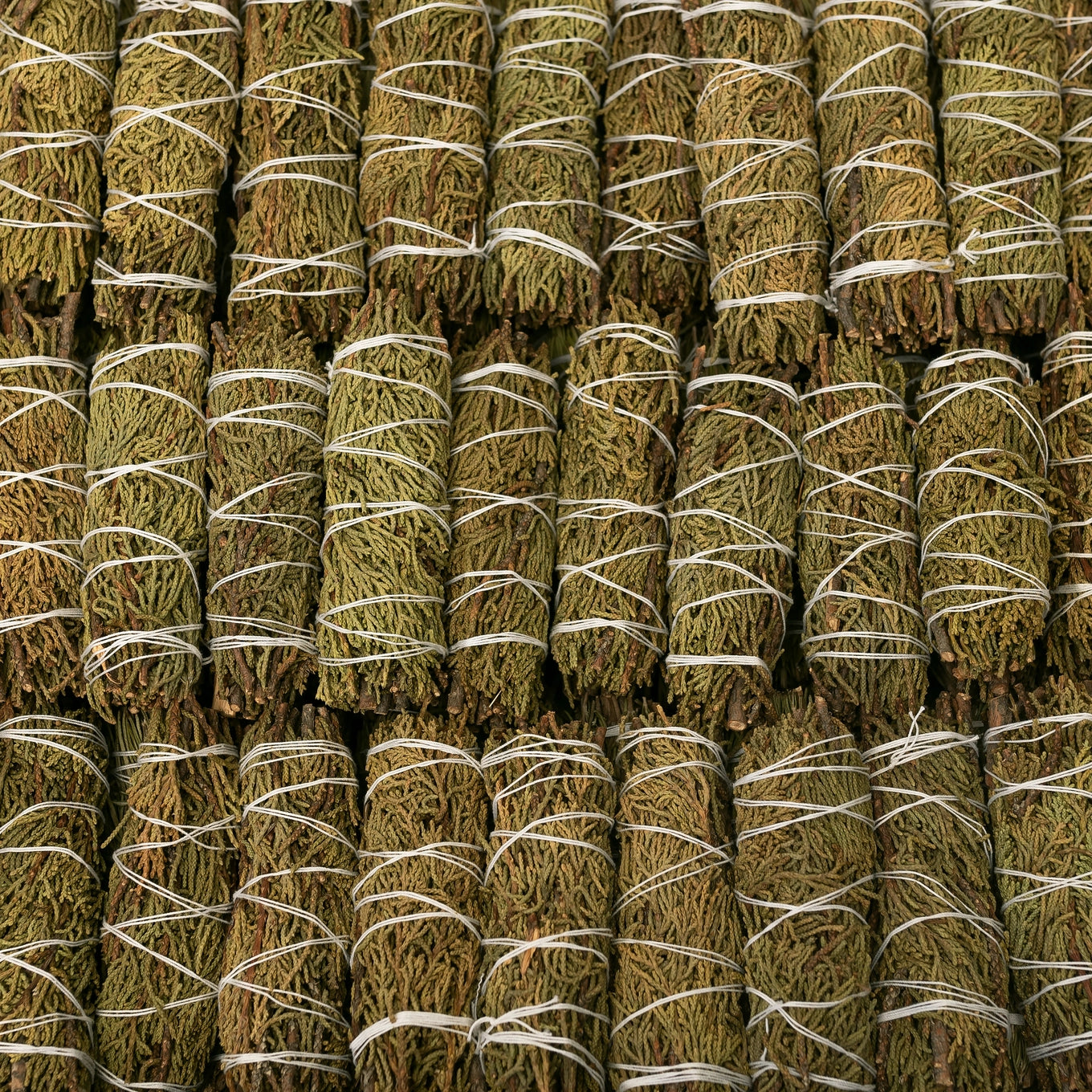 Juniper Saining Stick – Renaissance Farms