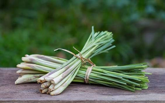 Lemongrass 1 oz.