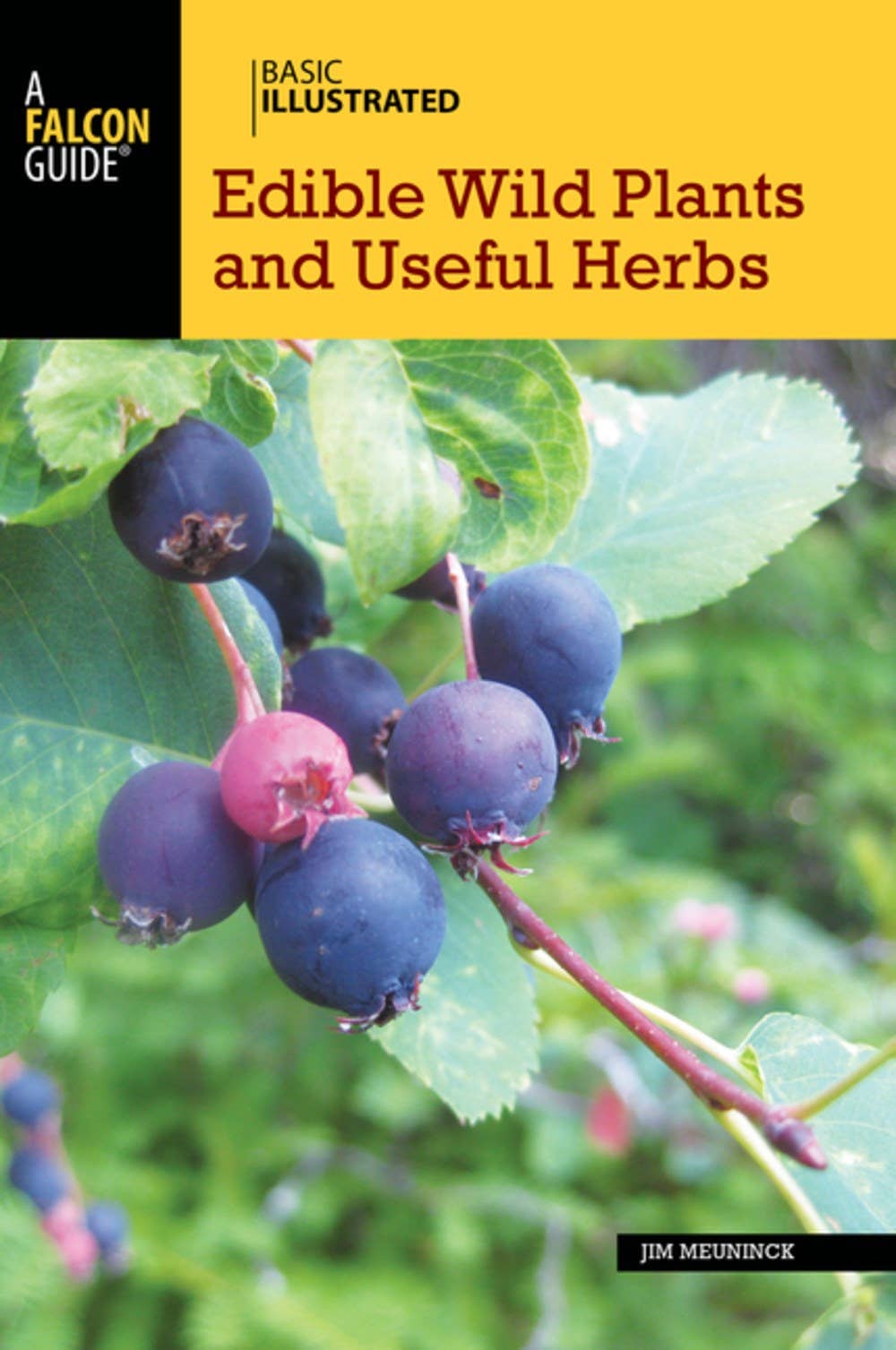 Edible Wild Plants & Useful Herbs