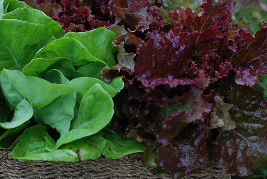 Salad Greens Share